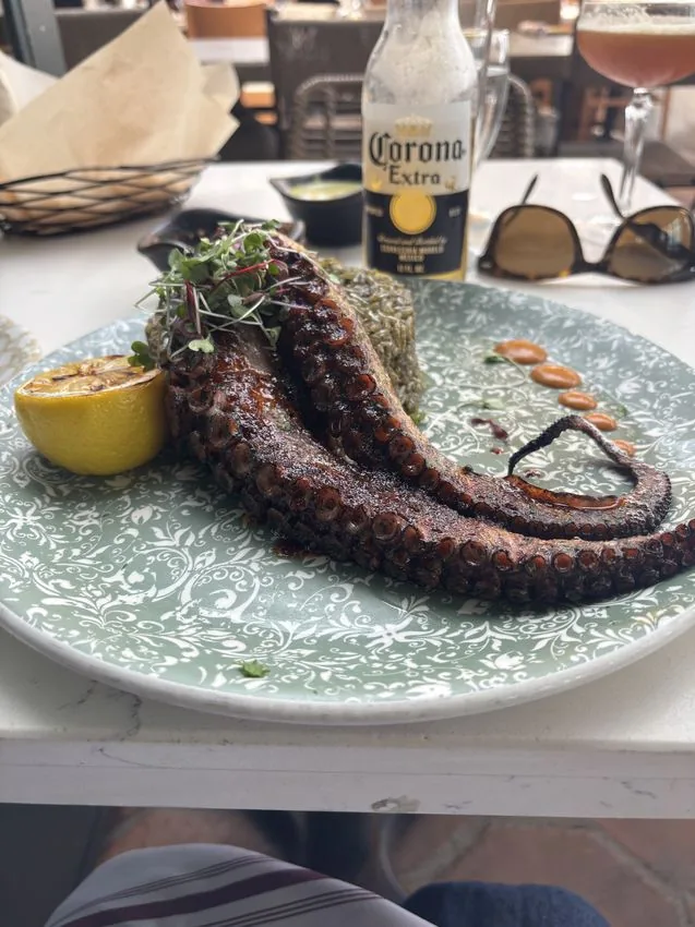Whole grilled octopus — solo dining